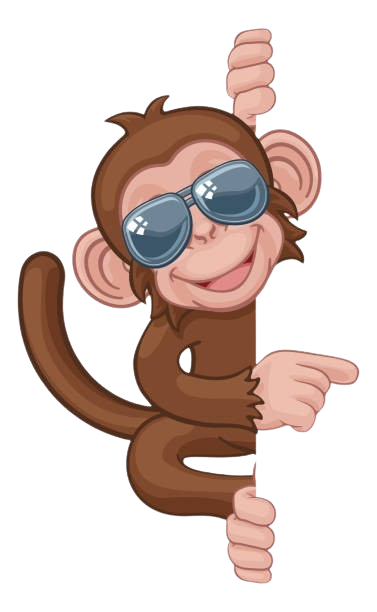 Web Design Services Mumbai